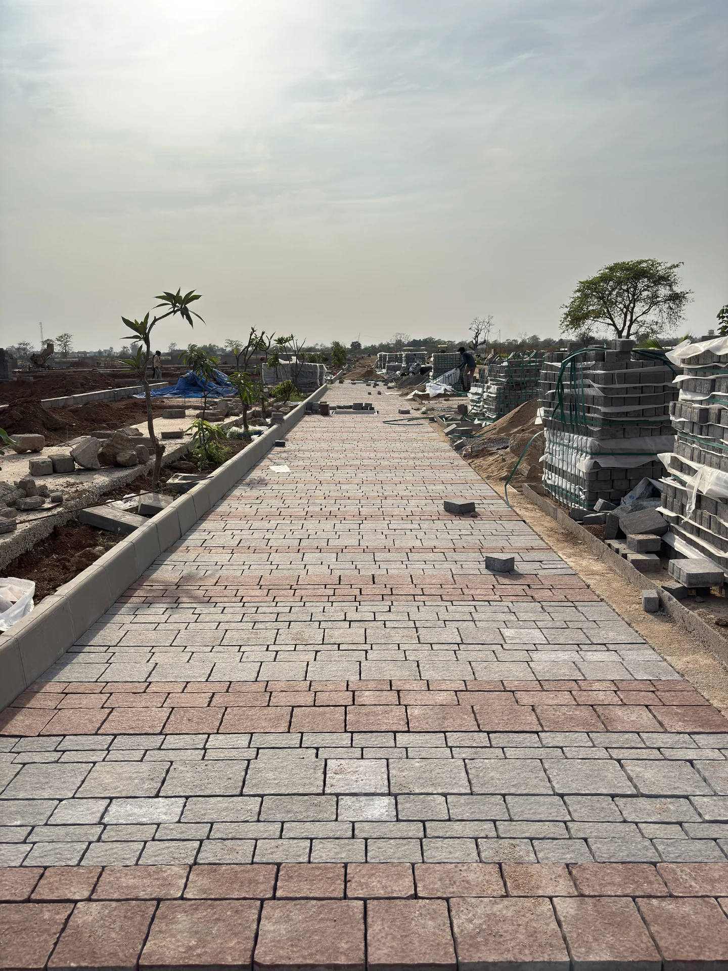 Ashoka Palm Meadows - Image 3