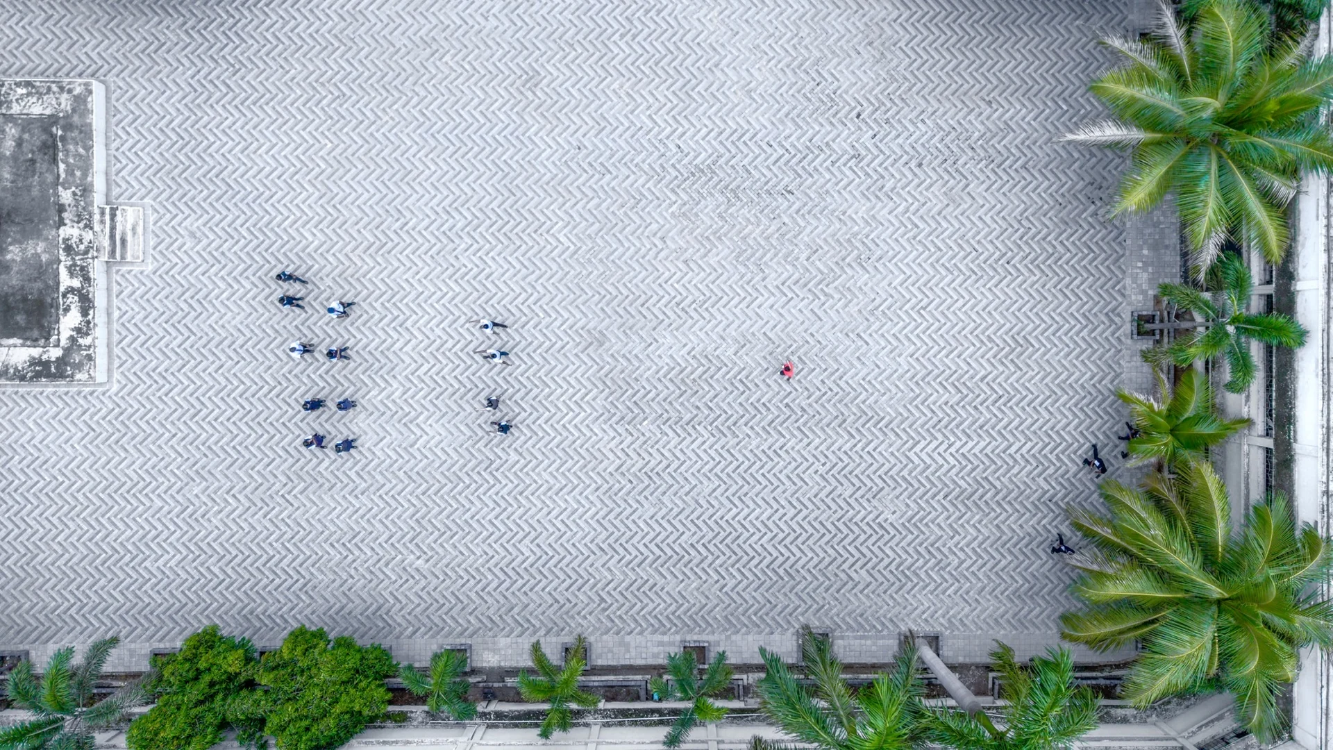 DDM School - Image 4