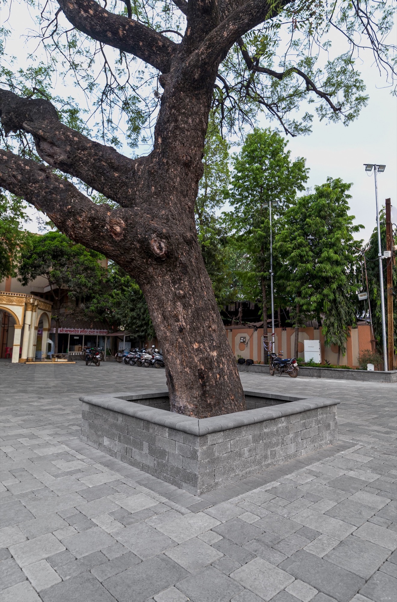 Dadabadi Jain Temple Complex - Image 4
