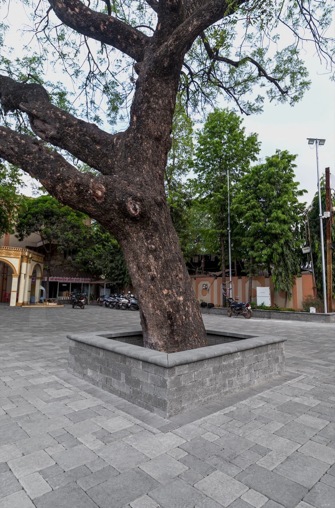 Dadabadi Jain Temple Complex - Image 4