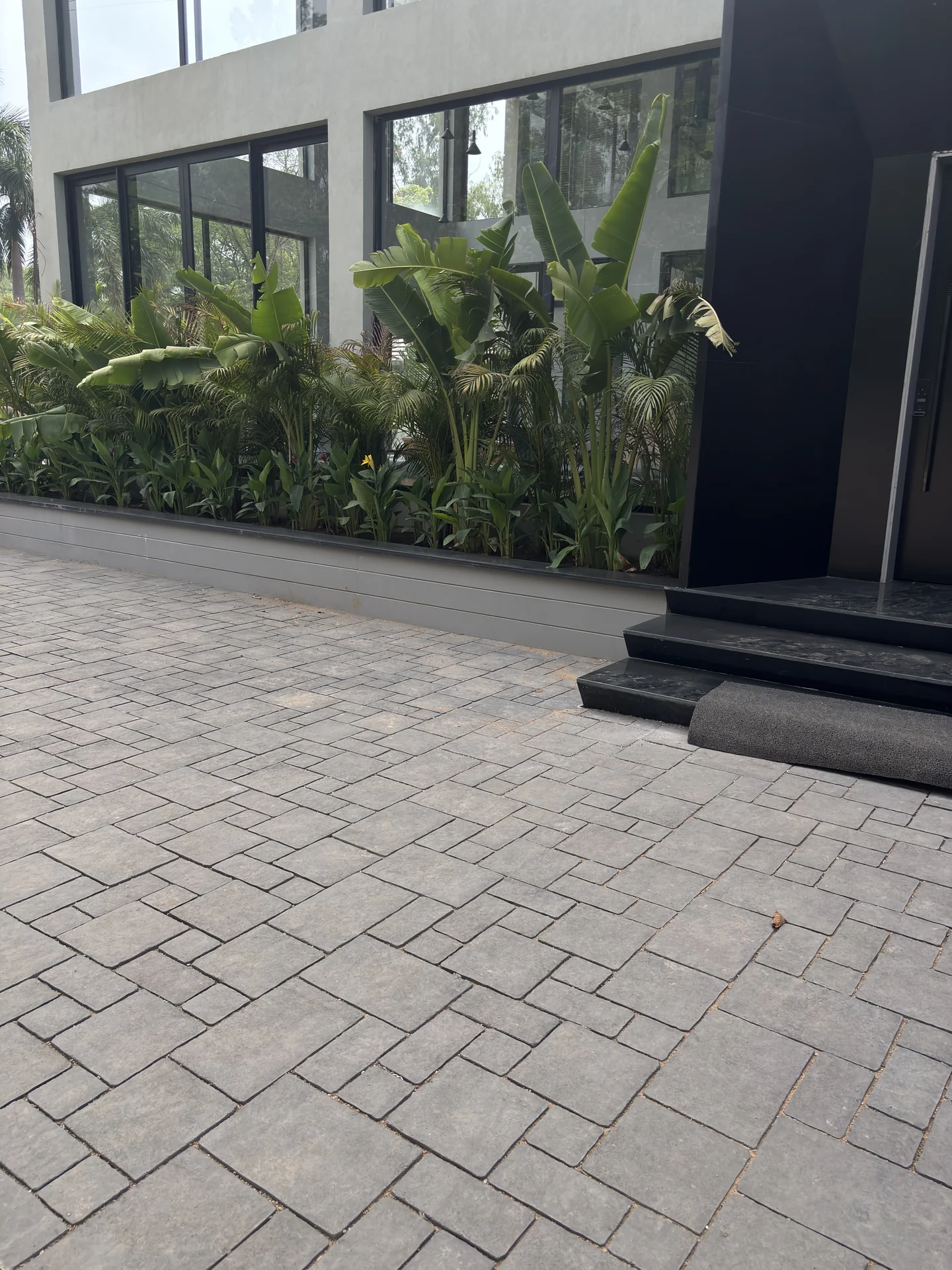 Limelight Office - Primary