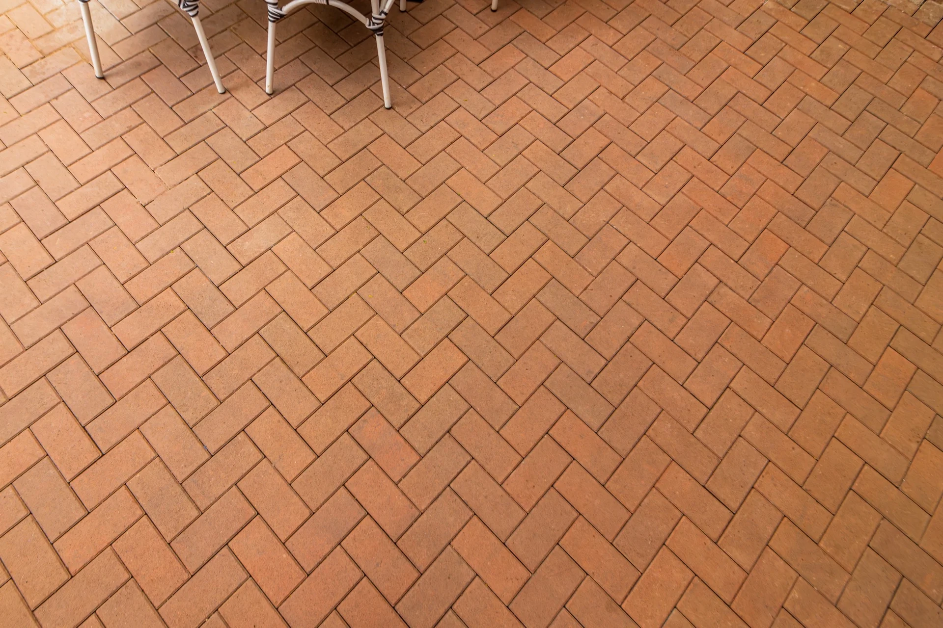 The House of Local Cafe - Image 6